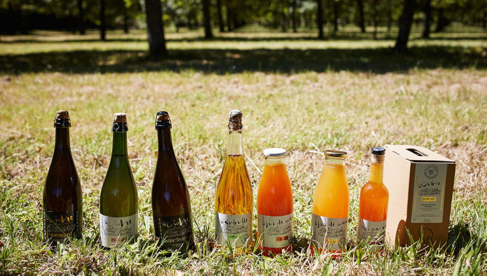 Au 46 Bretagne, maison d'hôtes écologique et table d'hôtes bio à Bénodet