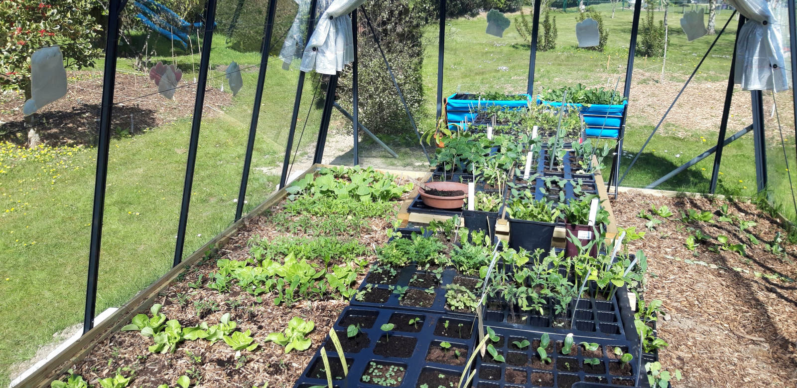 Au 46 Bretagne, maison d'hôtes écologique et table d'hôtes bio