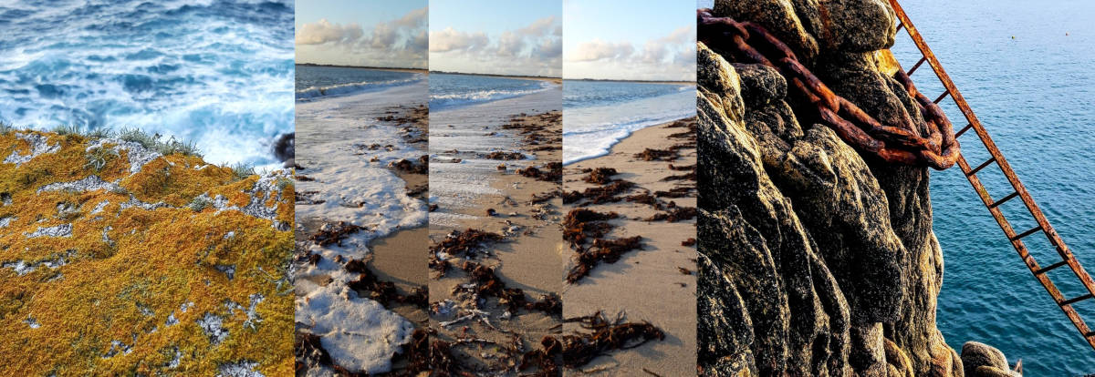 Au 46 Bretagne, maison d'hôtes écologique et table d'hôtes bio