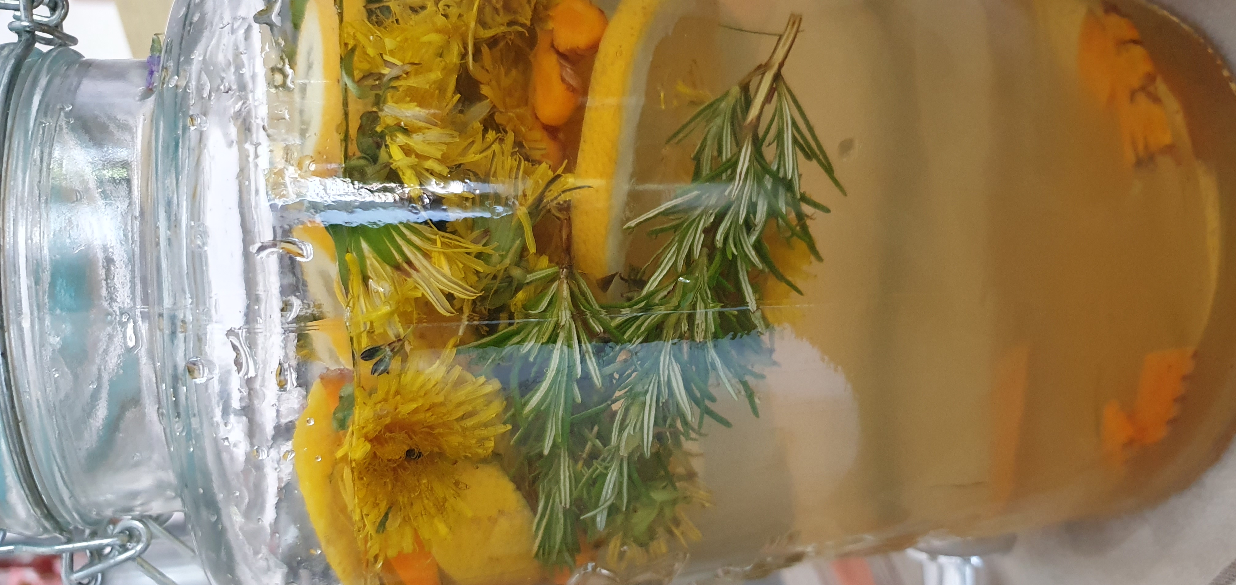 petillant de pissenlit