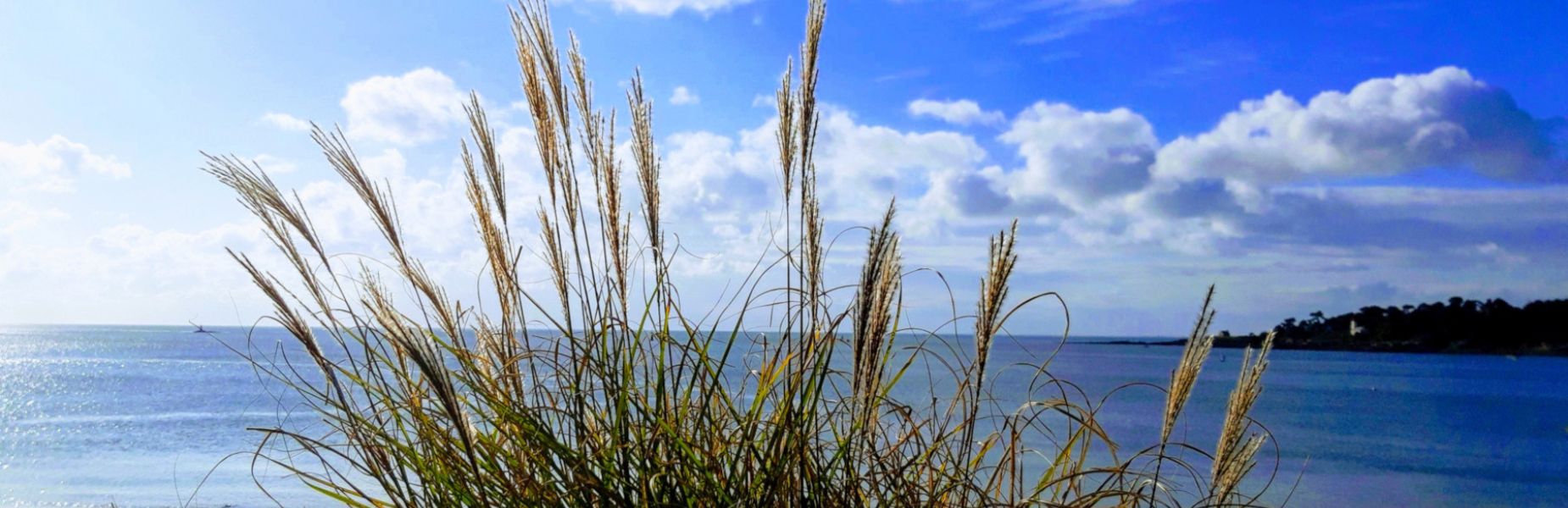 Au 46 Bretagne, maison d'hôtes écologique et table d'hôtes bio