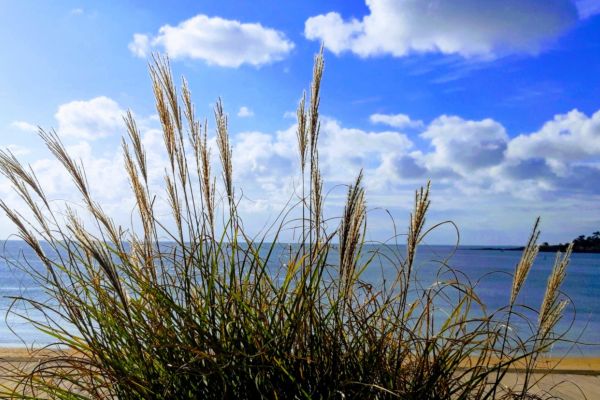 Au 46 Bretagne, maison d'hôtes écologique et table d'hôtes bio