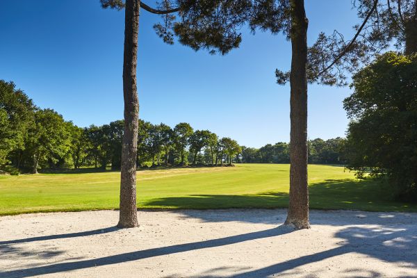 Au 46 Bretagne, maison d'hôtes écologique et table d'hôtes bio