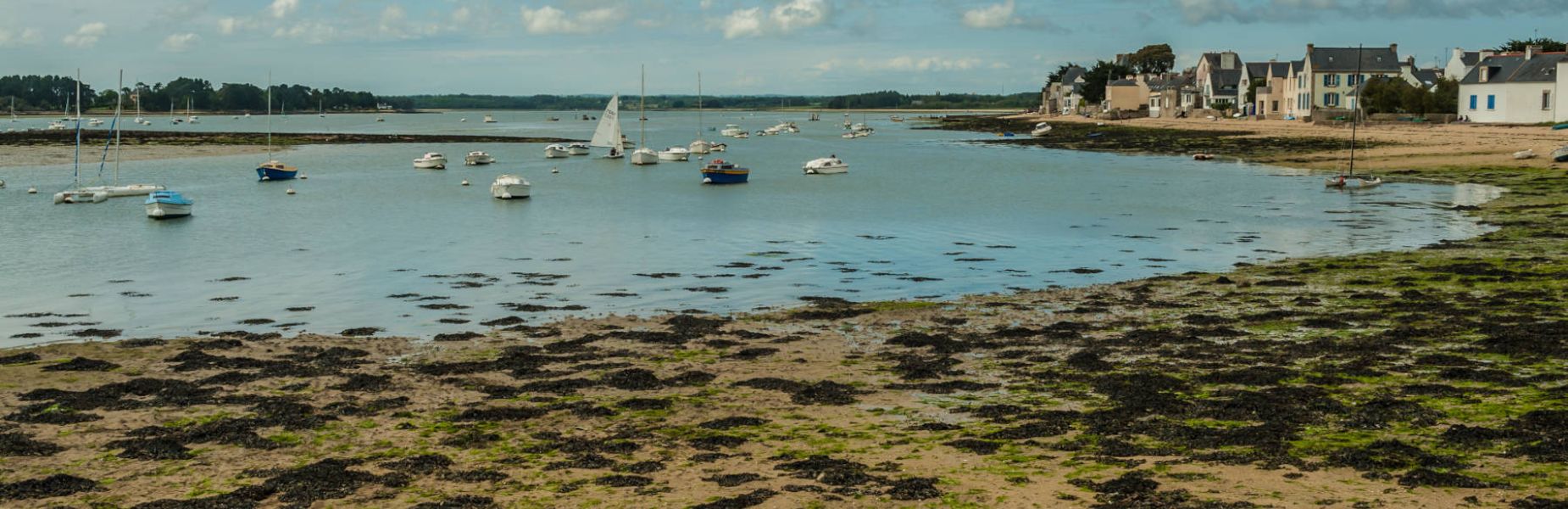 Au 46 Bretagne, maison d'hôtes écologique et table d'hôtes bio, tourisme autour de Benodet