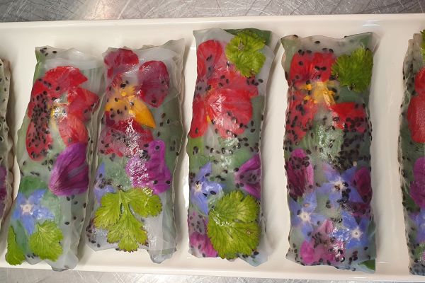 Au 46 Bretagne, maison d'hôtes écologique et table d'hôtes bio