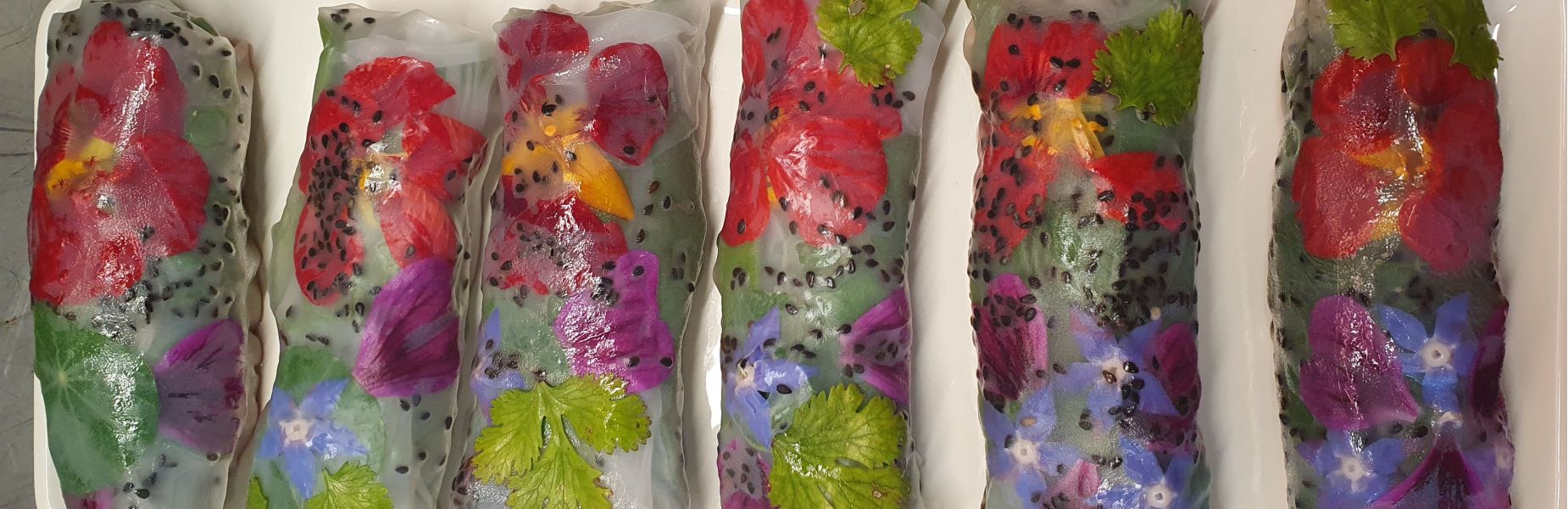 Au 46 Bretagne, maison d'hôtes écologique et table d'hôtes bio