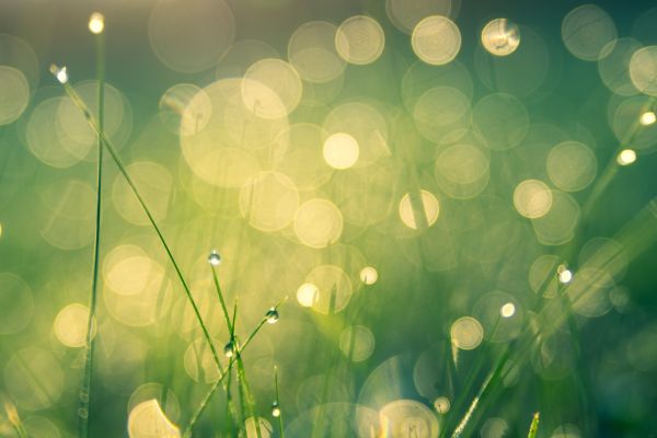 Au 46 Bretagne, maison d'hôtes écologique et table d'hôtes bio