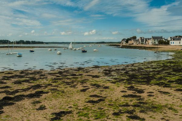 Au 46 Bretagne, maison d'hôtes écologique et table d'hôtes bio, tourisme autour de Benodet