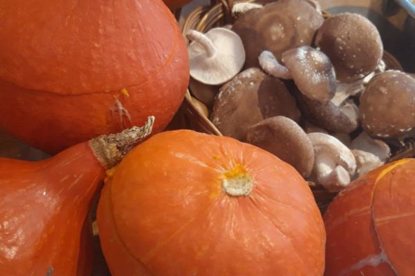 Au 46 Bretagne, maison d'hôtes écologique et table d'hôtes bio