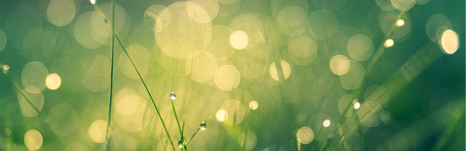 Au 46 Bretagne, maison d'hôtes écologique et table d'hôtes bio