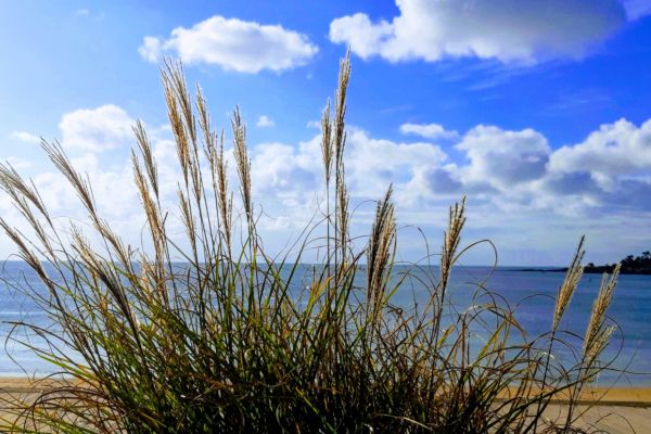 Au 46 Bretagne, maison d'hôtes écologique et table d'hôtes bio