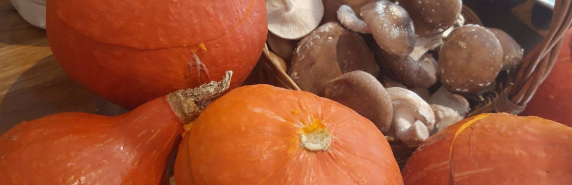 Au 46 Bretagne, maison d'hôtes écologique et table d'hôtes bio