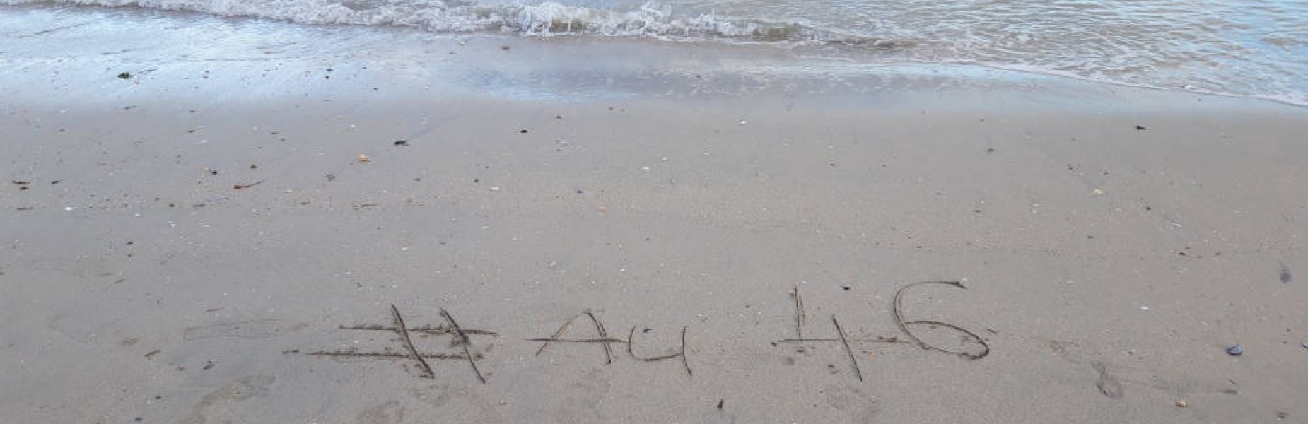 Au 46 Bretagne, maison d'hôtes écologique et table d'hôtes bio à Benodet