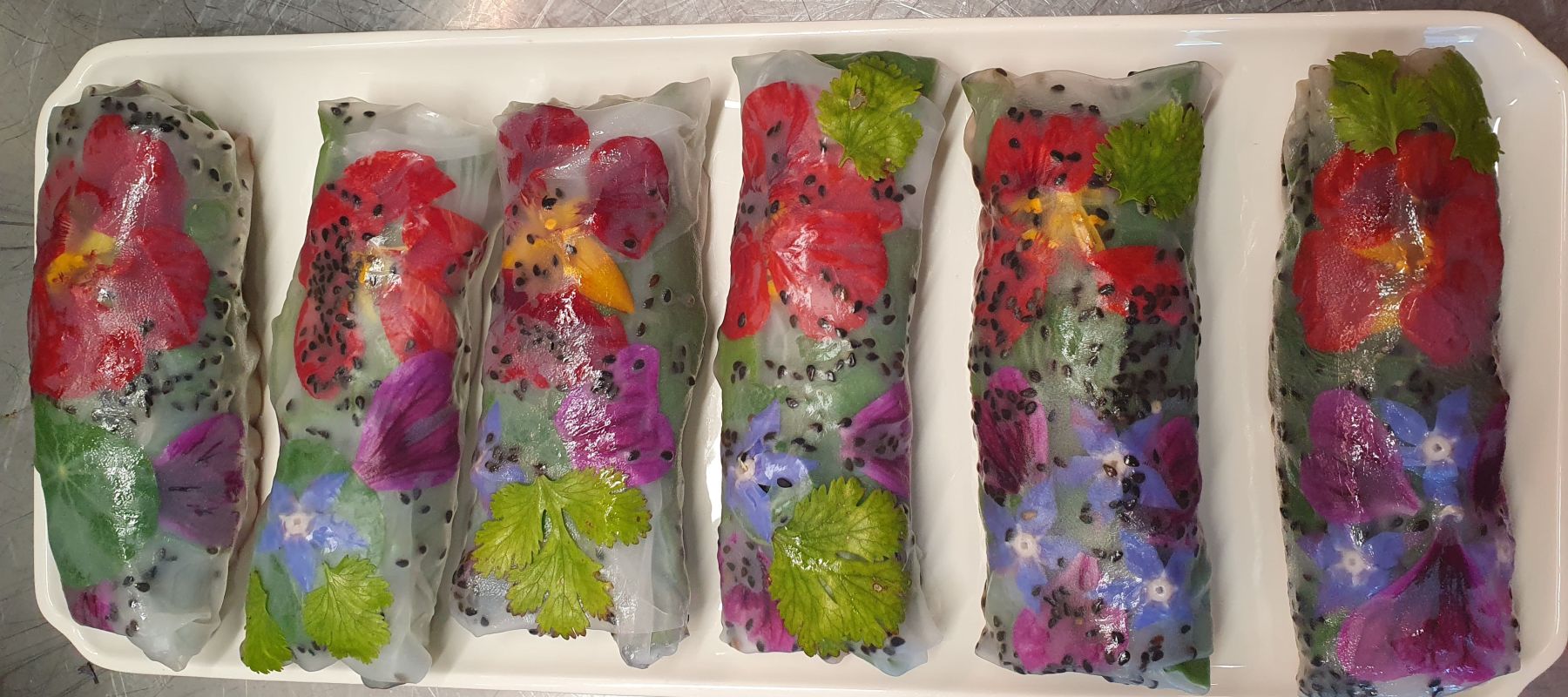 Au 46, Maison d'hôtes nature et table d'hôtes bio et végétarienne à Benodet en Bretagne